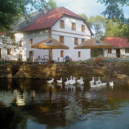 Вілла Biofarma Dolejsi Mlyn Kamberk Екстер'єр фото